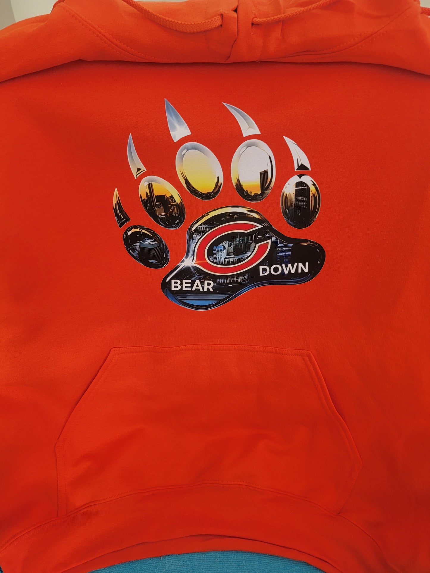 BEARS DOWN HOODIE